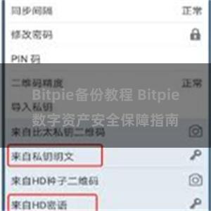 Bitpie备份教程 Bitpie数字资产安全保障指南