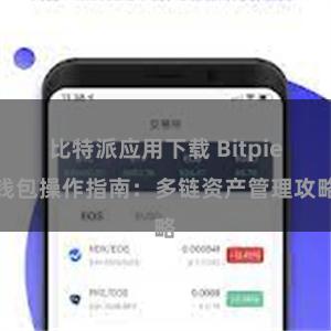 比特派应用下载 Bitpie钱包操作指南：多链资产管理攻略