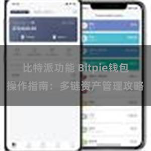 比特派功能 Bitpie钱包操作指南：多链资产管理攻略