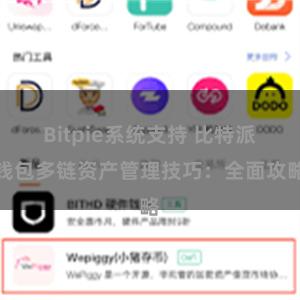 Bitpie系统支持 比特派钱包多链资产管理技巧：全面攻略