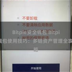 Bitpie安全钱包 Bitpie钱包使用技巧：多链资产管理全攻略