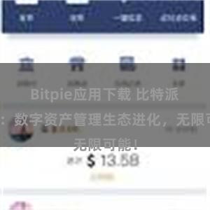 Bitpie应用下载 比特派钱包：数字资产管理生态进化，无限可能！