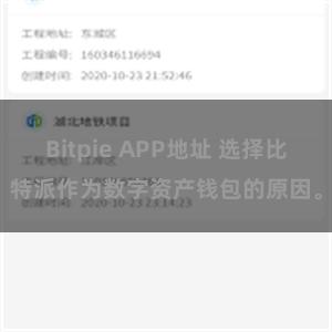 Bitpie APP地址 选择比特派作为数字资产钱包的原因。