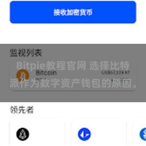 Bitpie教程官网 选择比特派作为数字资产钱包的原因。