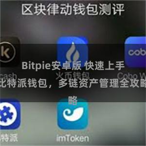 Bitpie安卓版 快速上手比特派钱包，多链资产管理全攻略