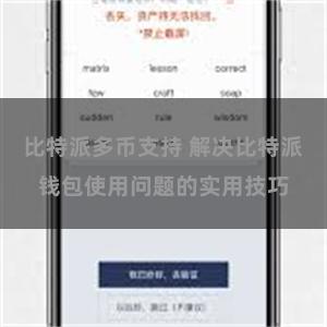 比特派多币支持 解决比特派钱包使用问题的实用技巧