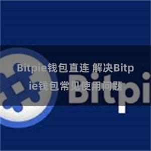 Bitpie钱包直连 解决Bitpie钱包常见使用问题