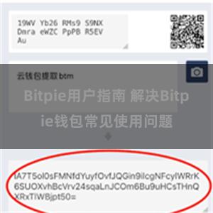 Bitpie用户指南 解决Bitpie钱包常见使用问题