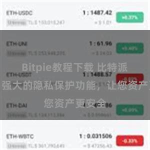 Bitpie教程下载 比特派钱包：强大的隐私保护功能，让您资产更安全