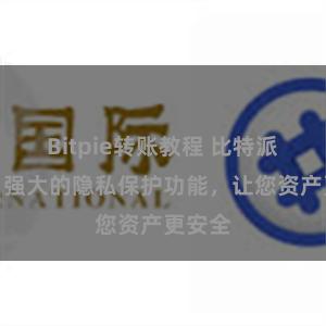 Bitpie转账教程 比特派钱包：强大的隐私保护功能，让您资产更安全