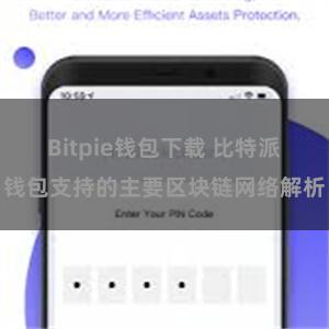 Bitpie钱包下载 比特派钱包支持的主要区块链网络解析