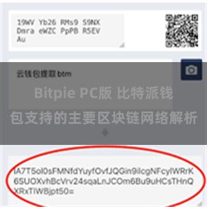 Bitpie PC版 比特派钱包支持的主要区块链网络解析