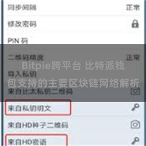 Bitpie跨平台 比特派钱包支持的主要区块链网络解析