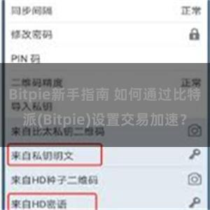 Bitpie新手指南 如何通过比特派(Bitpie)设置交易加速？