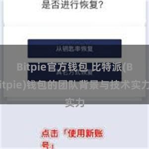 Bitpie官方钱包 比特派(Bitpie)钱包的团队背景与技术实力