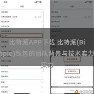 比特派APP下载 比特派(Bitpie)钱包的团队背景与技术实力