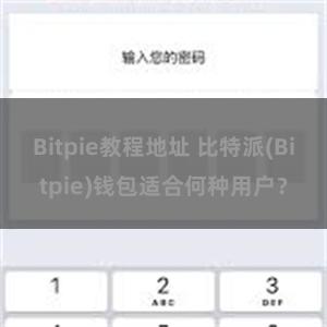 Bitpie教程地址 比特派(Bitpie)钱包适合何种用户？