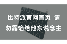 比特派官网首页  请勿露馅给他东说念主